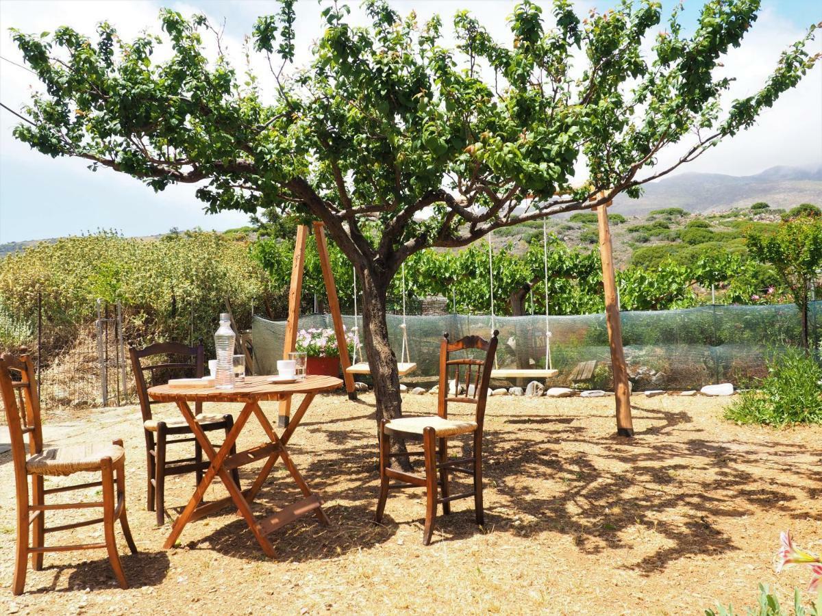 Traditional Cretan Villa Rodhopos Zewnętrze zdjęcie