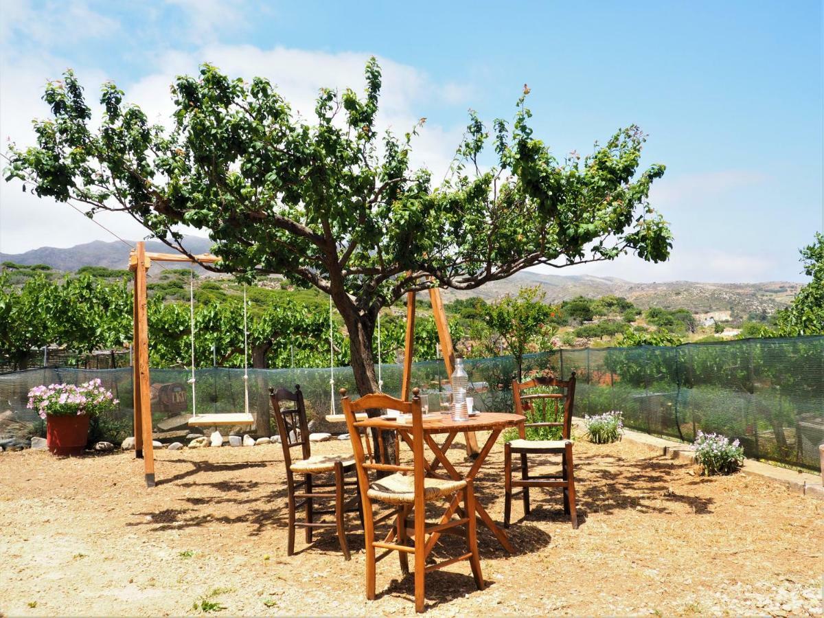 Traditional Cretan Villa Rodhopos Zewnętrze zdjęcie